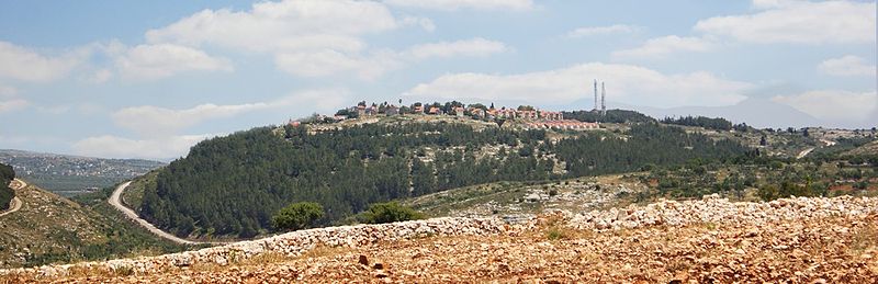 Общий вид посёлка.