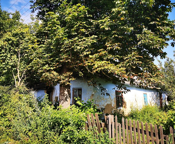 Файл:Derazh3 0203.jpg
