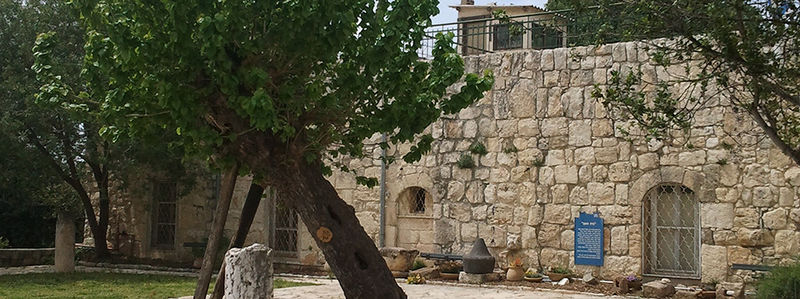 Файл:Музей Ханита 0.jpg