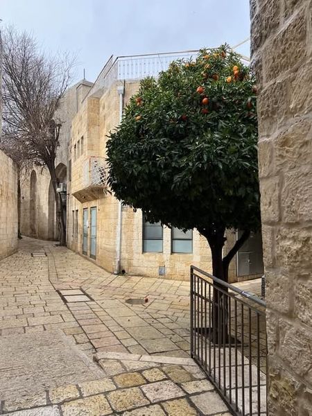 Файл:Еврейский квартал Старого города 2025.jpg