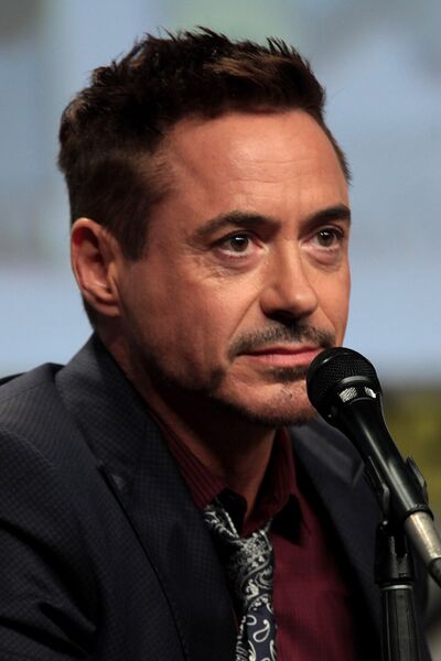 Файл:Robert Downey Jr. 2014 Comic-Con.jpg