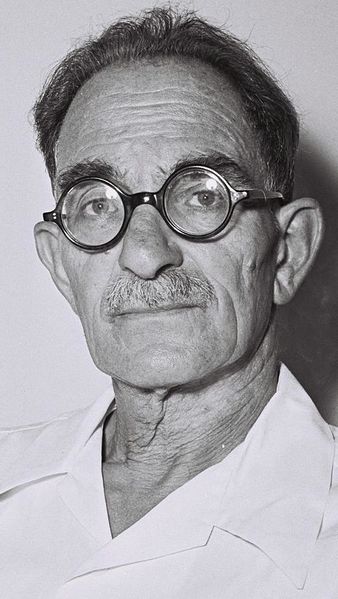 Файл:Moshe erem.jpeg