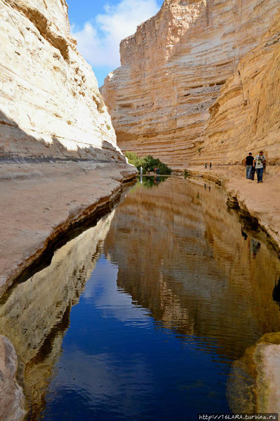 Файл:Эйн Авдат.jpg