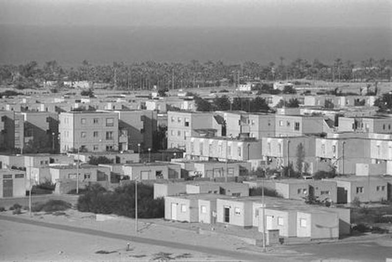 Файл:11743 L4.JPG