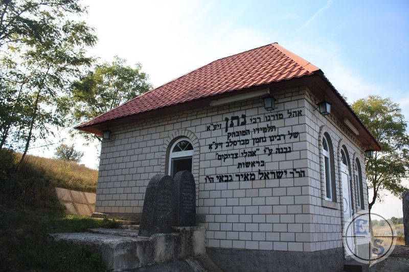 Файл:BracIMG 2538.jpg