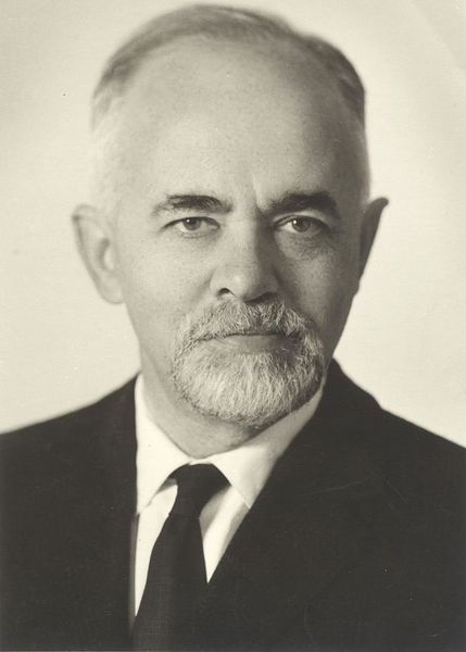 Файл:תצלום של ערי ז'בוטינסקי.jpg