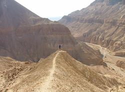 Вид на ущелье с плато.