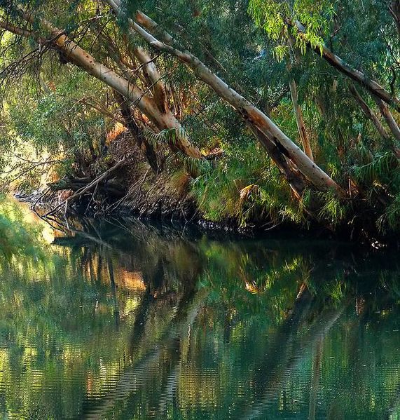 Файл:JordanRiver1.JPG