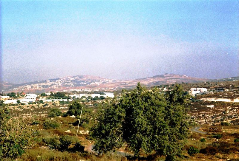 Файл:VidSHarHemedNaKdumim1.JPG
