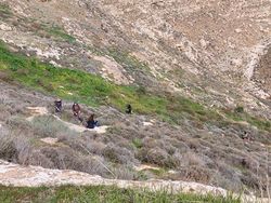 Вади Харитон, февраль 2023 г. Фото Вадима Бугаенко.