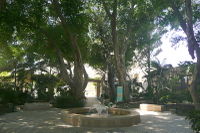 "Волшебный сад"