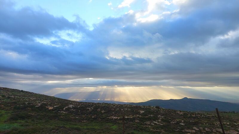 Утро в Иудейских горах. Февраль 2026 г. Фото Михаила Гольдштейна.