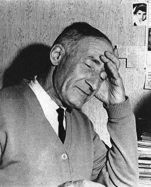 Файл:Zvi Preigerzon Main Portrait.jpg