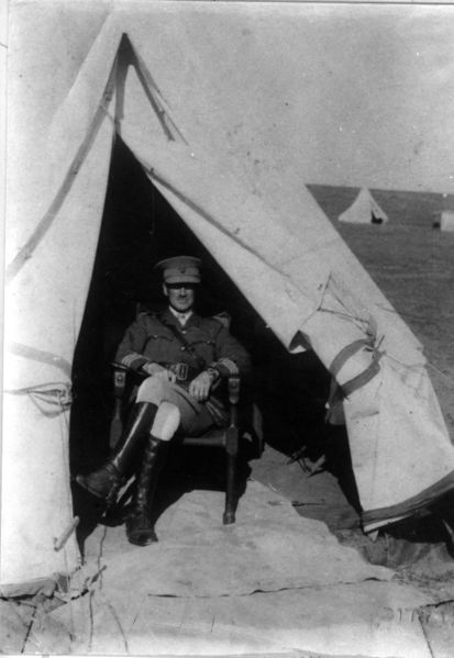 Файл:Patterson-1917-AJI view 4007.jpg