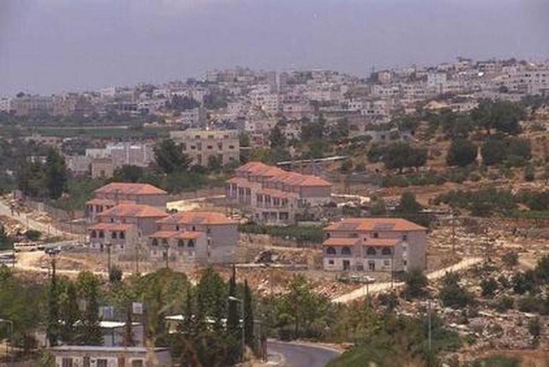 Файл:11743 L8.JPG