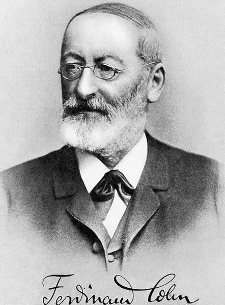 Файл:FerdinandJuliusCohn.JPG