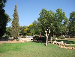 Городской парк вдоль ручья Юваль