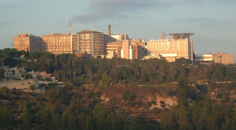 Файл:Hadassa ein karem.jpg