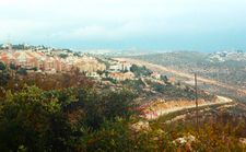 Ариэль зимой. Фото Л.Гроервейдла.