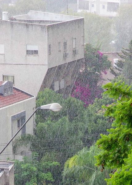 Файл:Дождь в Хайфе.jpg