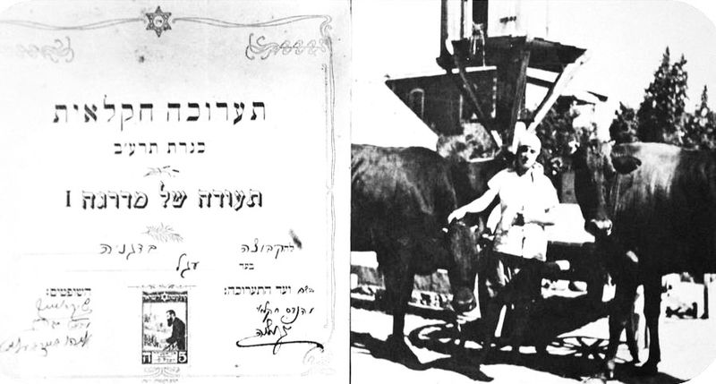 Файл:Дгания 1911.JPG