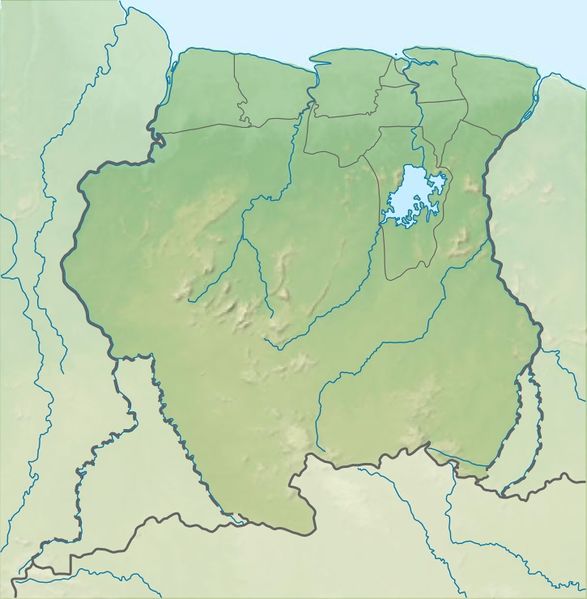 Файл:Suriname relief location map.jpg