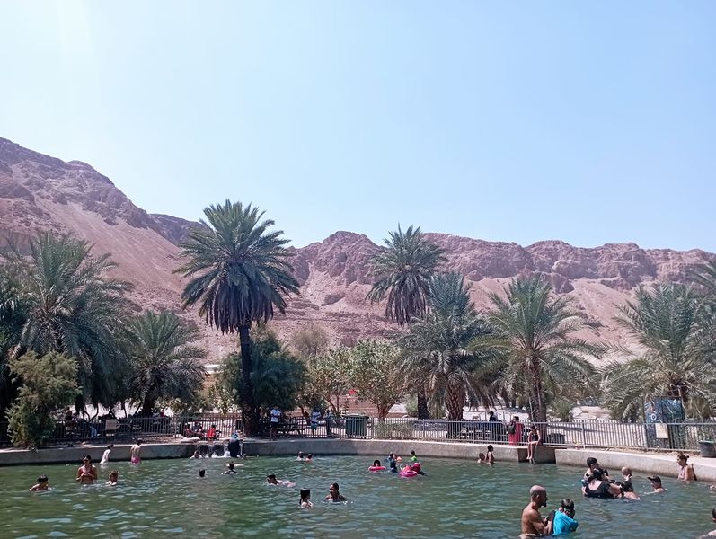 Файл:Einot Tzukim.jpg