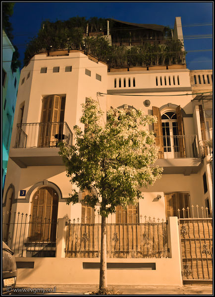 Файл:Неве Цедек.jpg