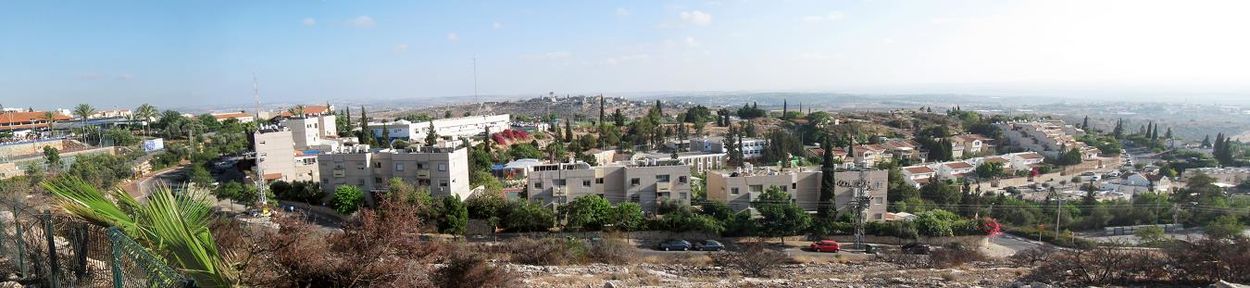 Панорама Альфей Менаше