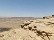 В пустыне около Мицпе Рамон. Лето 2022 г. Фото Зеэва Мерзона.