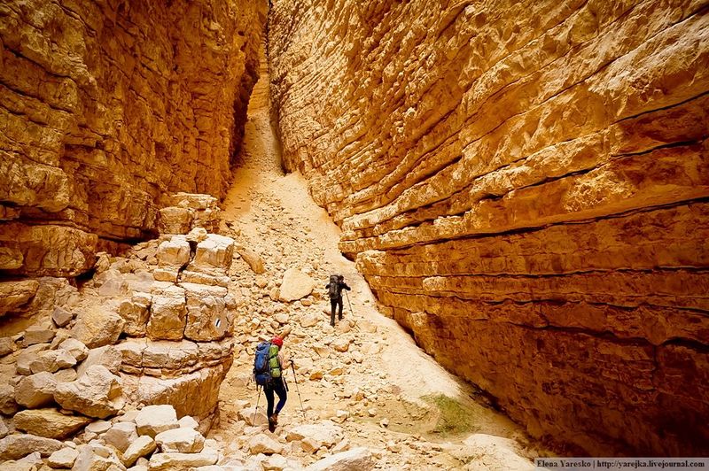 Файл:Ручей Хава.jpg