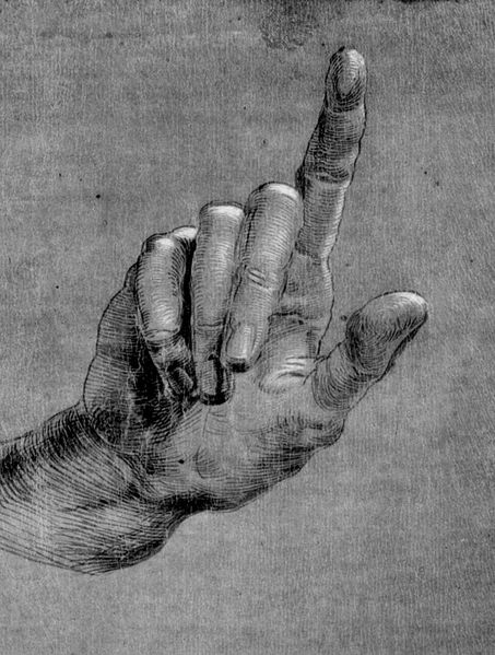 Файл:Дюрер - правая рука.jpg