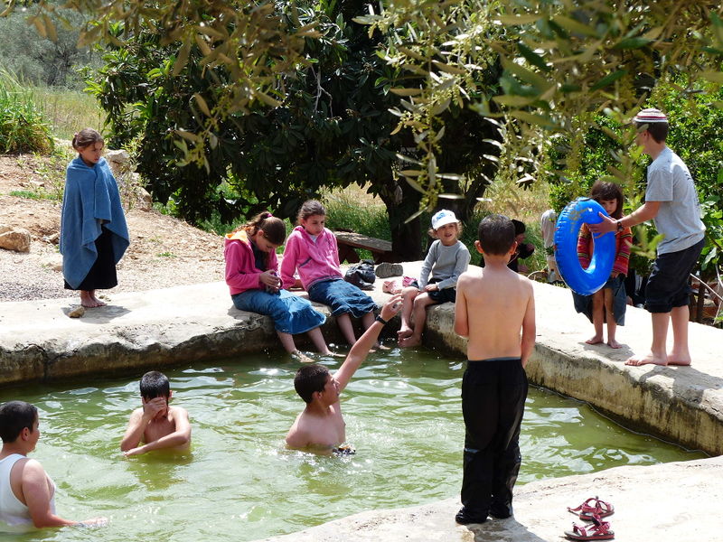 Файл:M13 20130327 19-32-18 MaaravShomron 0711.JPG