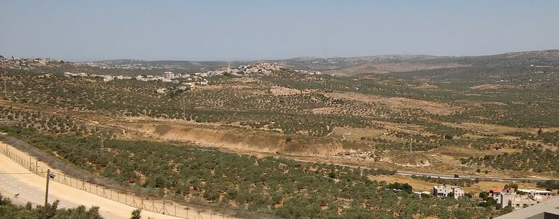 Арабские оливковые плантации рядом с Ариэлем по обе стороны Транссамарийского шоссе.