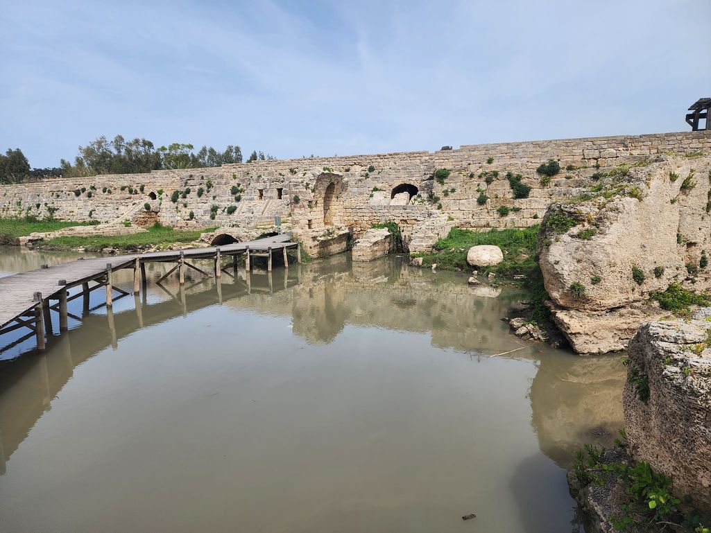 Запруда в Бейт Ханания. Фото Якова Манелиса.