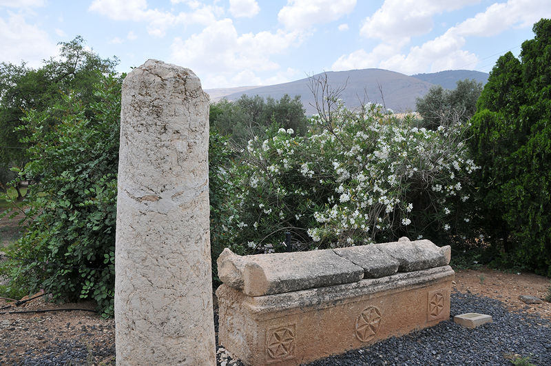 Файл:Музей археологии истории Б Ш.jpg