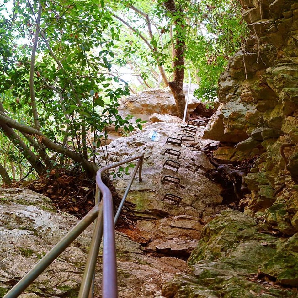 Ручей Келах, национальный парк Кармель. Фото Гарри Резниковского.