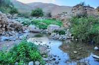 Источники воды в поселении. Фото с сайта Bible walks