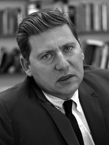 Файл:Lewis Yablonsky, 1965.jpg