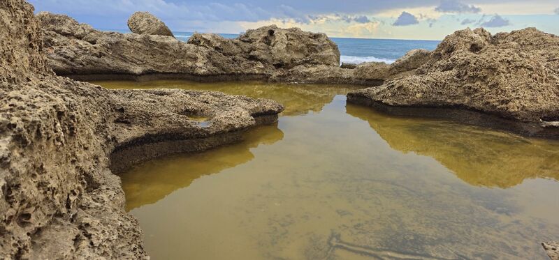 Файл:Заповедник Тель Дор Ноябрь 2025.jpg