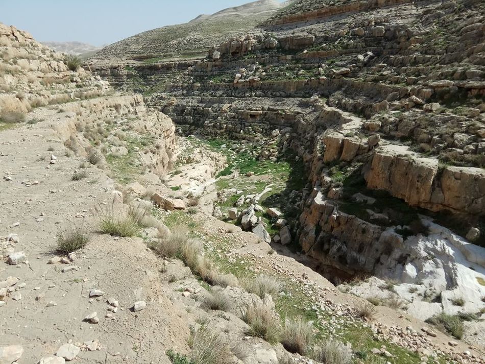 Вади Текоа, восточная часть Гуш Эциона. Фото Вадима Бугаенко.