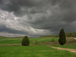 Заповедник Хар Хуршан.