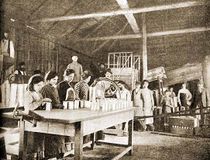 Консервная фабрика в колонии Еврейского колонизационного общества. Бессарабская губерния. Еврейская энциклопедия (СПб., 1908–1913).