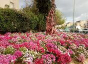 Перекрёсток Сыркин в Петах-Тикве. Фото С.И. Руденко.